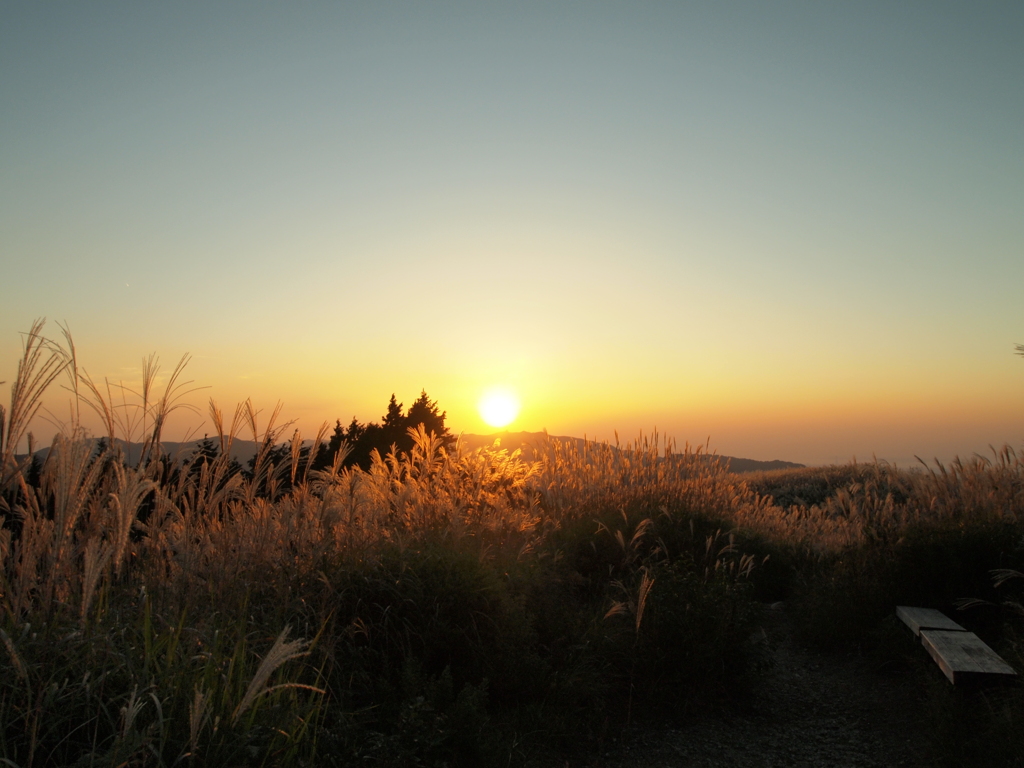 夕暮れを待つ