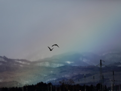 『虹の彼方へ　・　　』