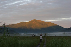 尾瀬　至仏山