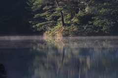 池の朝