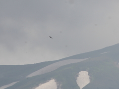空の王者