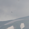空の王者