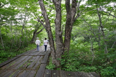 栗駒山　世界谷地
