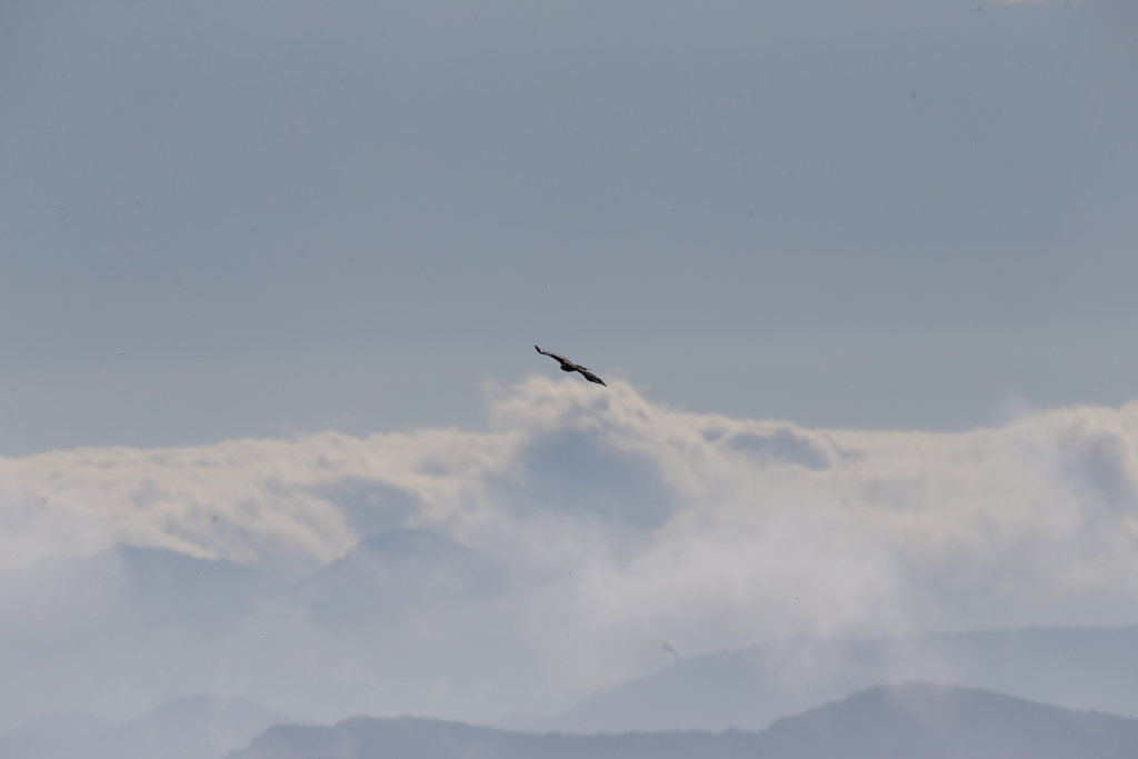 鳥海山