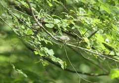 喧嘩のはじまり
