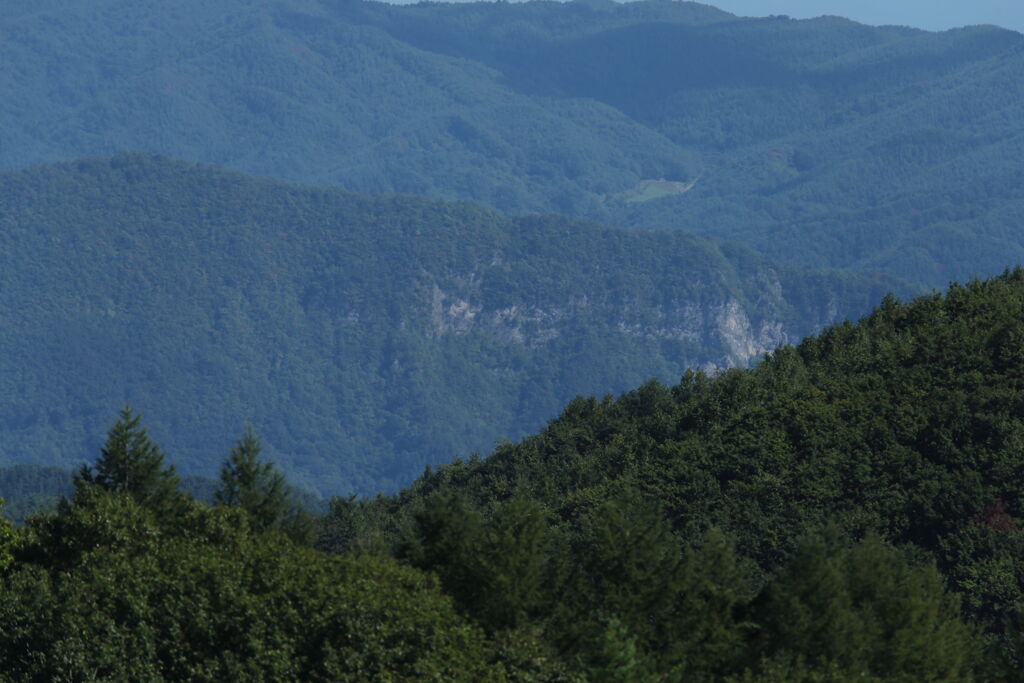 岩手県