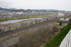 船岡城跡からⅡ