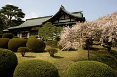 塩竃神社