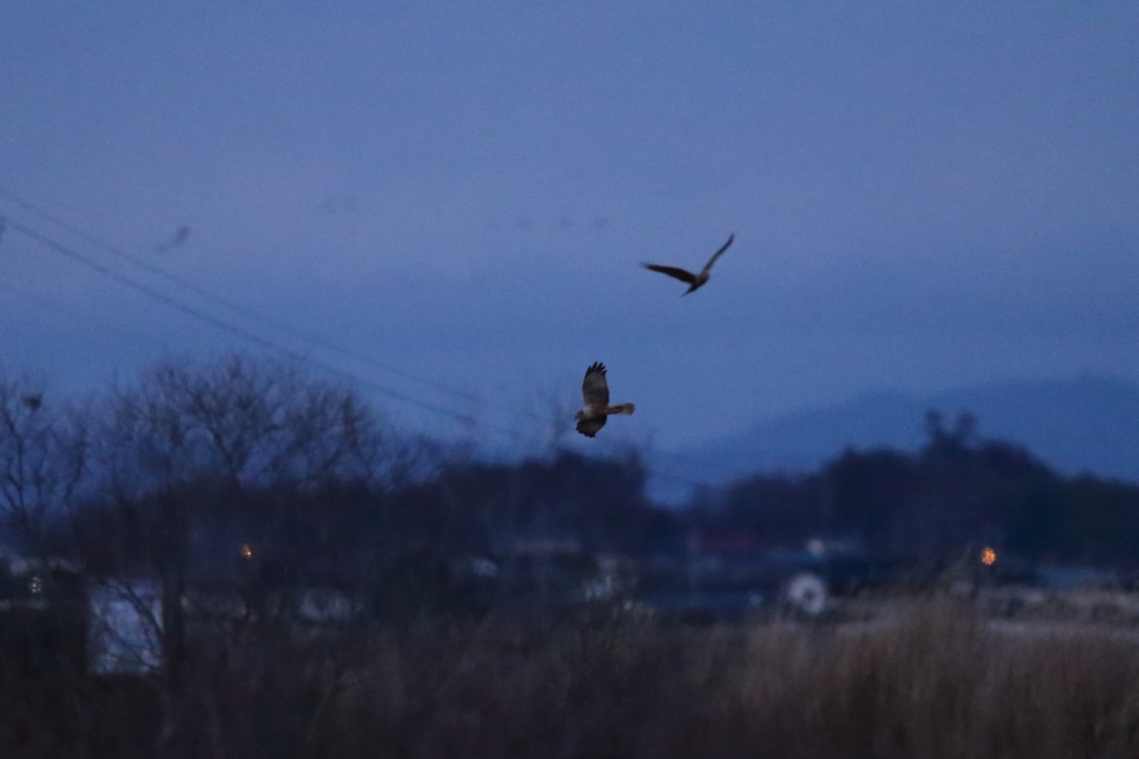 街の灯がともる頃