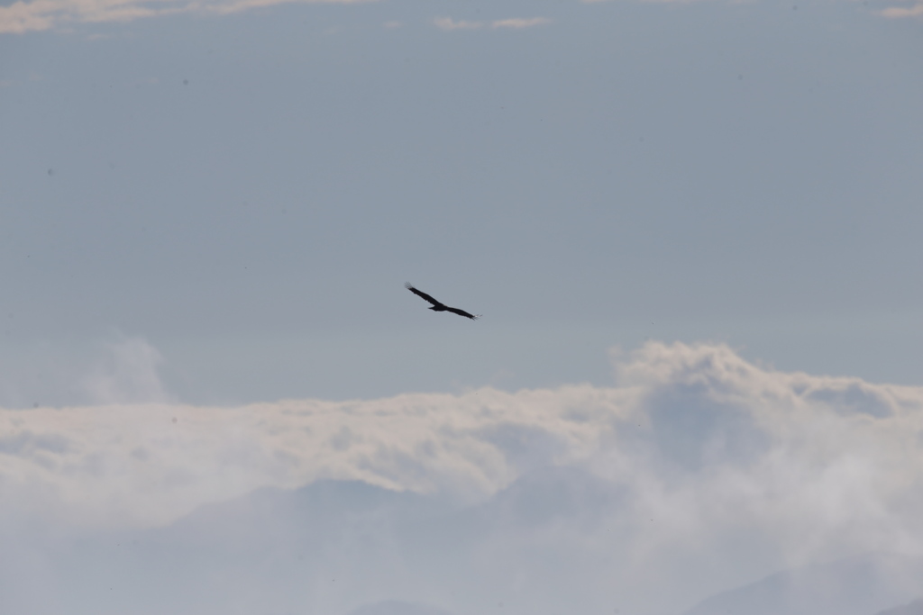 鳥海山