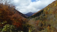 大朝日岳