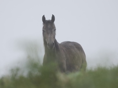 夏から冬へ・・・