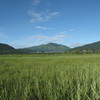 尾瀬　至仏山