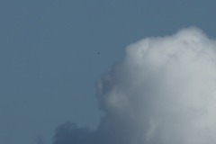 空高く