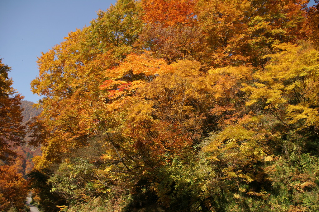 2010 飯豊　秋