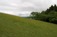 田尻町　加護坊山