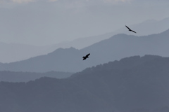 鳥海山