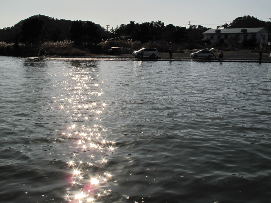 釣り　小春日和
