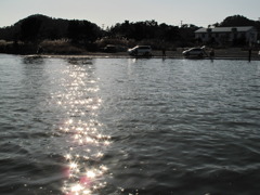 釣り　小春日和