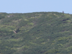 月山