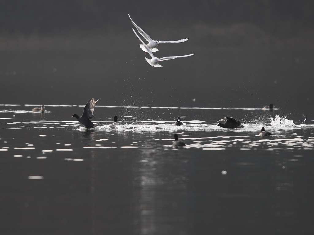 今日まで、そして明日からも・・・