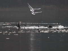 今日まで、そして明日からも・・・