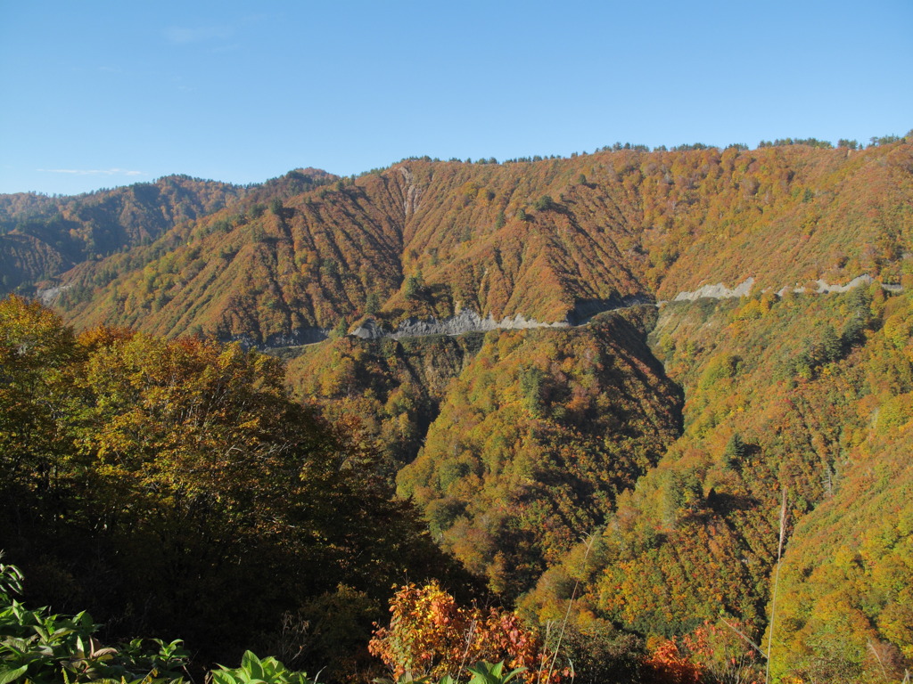 奥只見