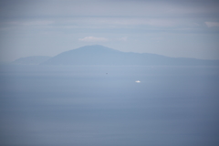 タカの渡り
