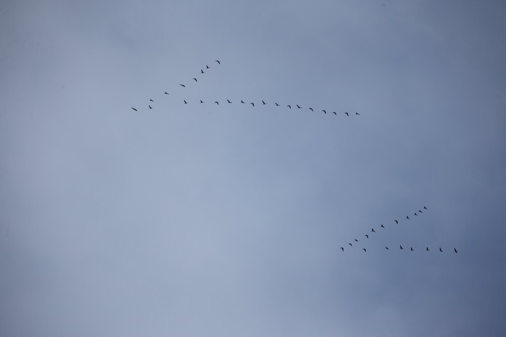 伊豆沼へ・・・