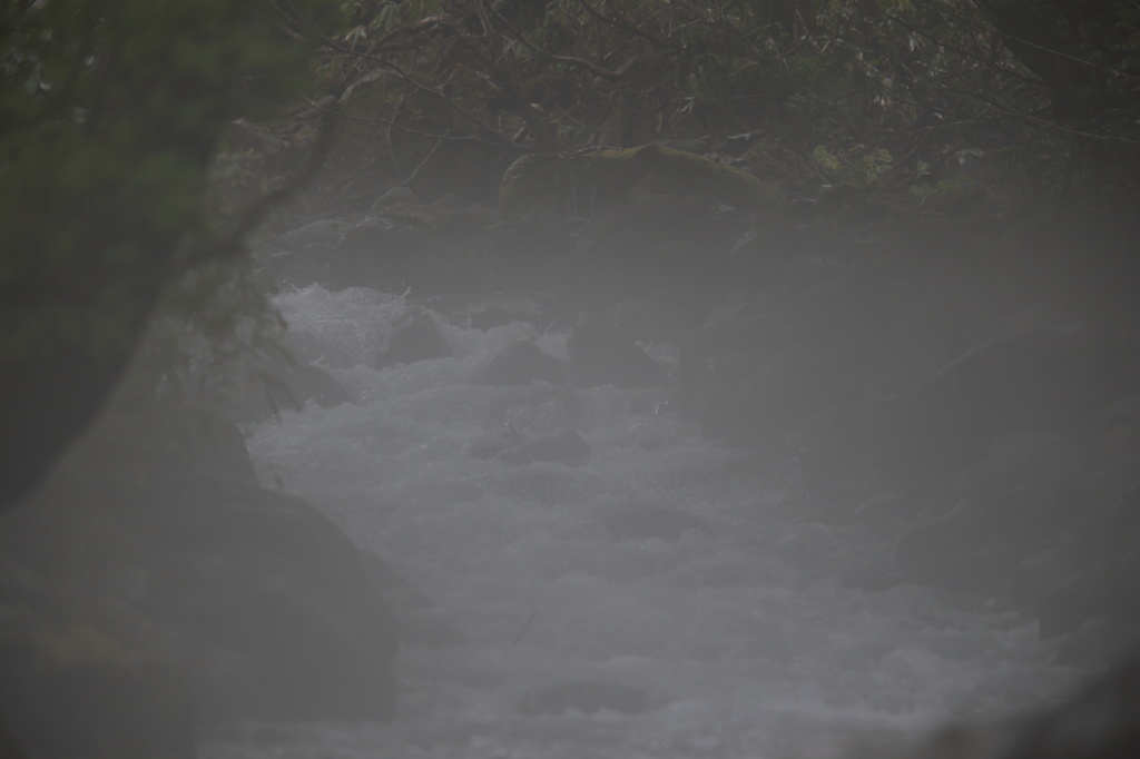 月山の渓流　全景