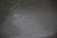 月山の渓流　全景