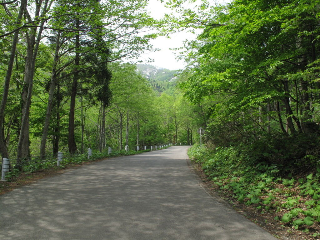夏油「げとう」温泉への道