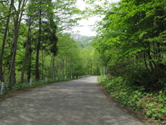 夏油「げとう」温泉への道