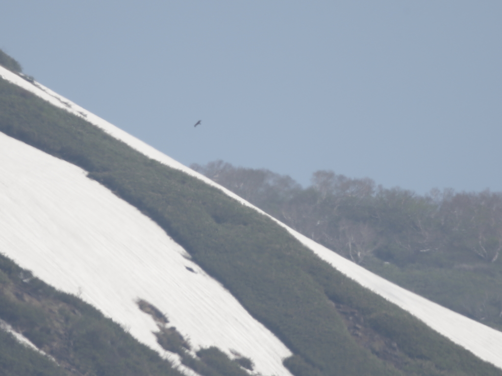 鳥海山