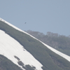 鳥海山