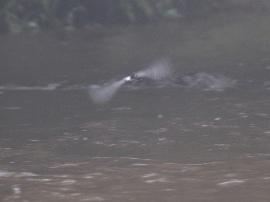 スーパースタ～