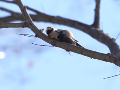 こんな格好で失礼。