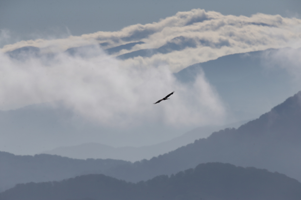 鳥海山