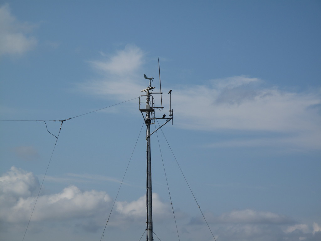 ハヤブサの見張り台