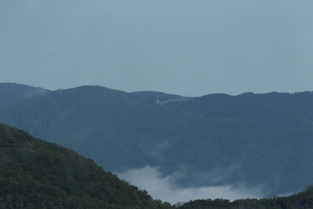 岩泉町高原