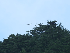 岩泉町