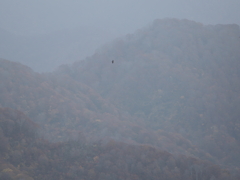 鳥海山