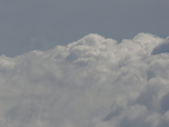 ディスプレイ　フライト