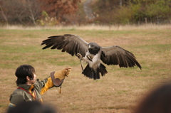 那須どうぶつ王国 312