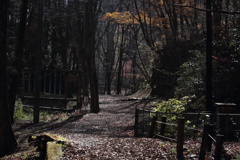 枯葉のプロムナード