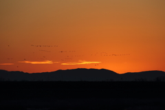 旅立ちの日にⅡ