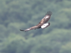 北上山地