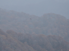 鳥海山