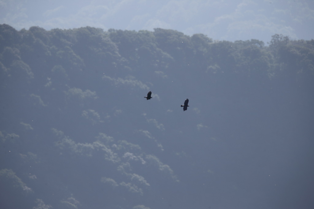 鳥海山