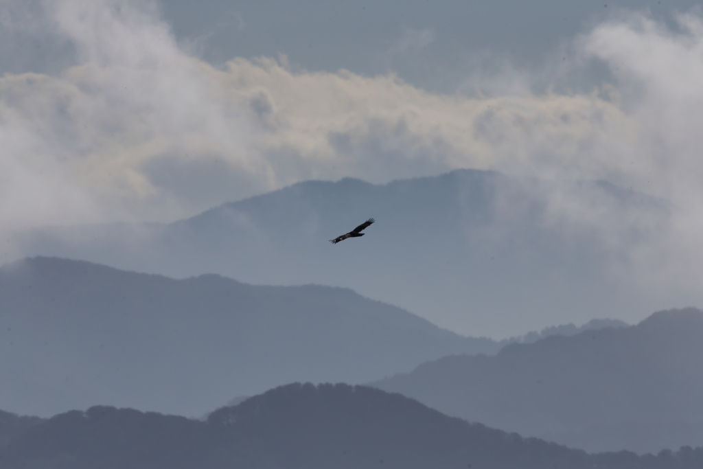 鳥海山
